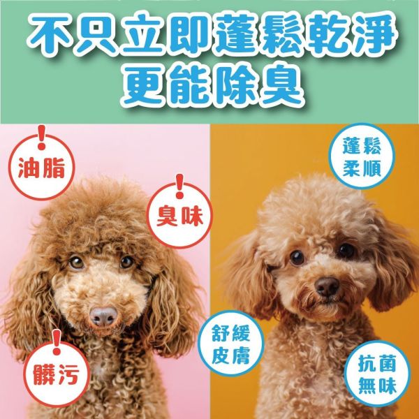 【臭味滾 】 犬/貓 無香除臭乾洗粉 100g｜寵物乾洗粉 狗狗貓咪低敏乾洗 無香精 臭味滾乾洗粉、狗狗乾洗粉、貓咪乾洗粉、寵物乾洗粉推薦、低敏乾洗粉、無香乾洗粉、除臭乾洗粉、寵物除臭乾洗、狗貓乾洗用品、臭味滾NEW系列