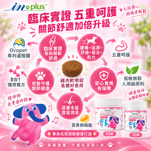 【IN-Plus】MSM蛋殼膜關節保健 狗關節保養 體力舒緩補充劑【30顆/60顆】IN PLUS 犬用營養品 狗狗關節保健, 狗關節舒緩, MSM蛋殼膜, 狗狗關節營養品, 狗狗走路僵硬, 狗狗保健食品, IN PLUS 狗保健, 狗狗骨骼保養, 狗狗關節軟骨保養, 狗狗活動力