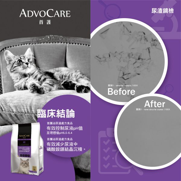 首護 AdvOCare AU 貓用磷酸銨鎂結石照護處方乾糧 1.5KG｜Urinary Care Struvite｜獸醫處方貓飼料 貓磷酸銨鎂結石飼料、貓鳥糞石處方飼料、AdvOCare AU 貓飼料、貓泌尿道處方飼料、Urinary Care 貓糧、獸醫處方貓糧
