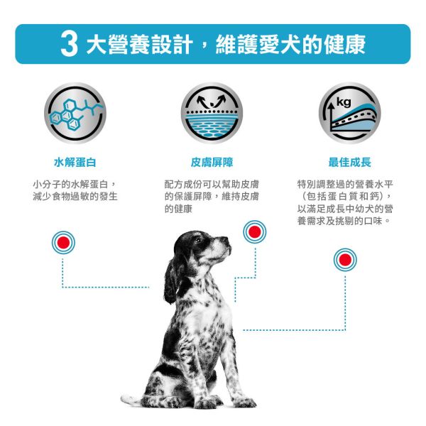 皇家【犬】幼犬低過敏處方乾糧 DRP23幼犬低過敏配方 1.5kg 幼犬過敏飼料推薦

幼犬皮膚過敏吃什麼

幼犬低敏飼料推薦

幼犬水解蛋白飼料

狗狗慢性下痢飲食

幼犬IBD飼料

幼犬EPI處方飼料

皇家幼犬低過敏配方

ROYAL CANIN hypoallergenic puppy

幼犬皮膚病飼料

幼犬腸胃敏感飼料