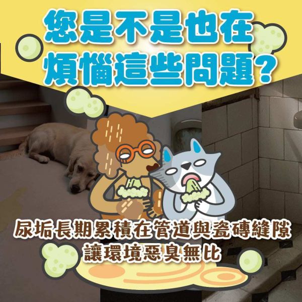 【臭味滾 】 全效尿漬清潔霸 500ml｜寵物尿漬清潔劑 除臭去漬 抑菌環境清潔 狗尿貓尿專用 臭味滾尿漬清潔霸、寵物尿漬清潔劑、貓狗尿漬去除、寵物除臭清潔液、寵物尿臭清潔、環境去味清潔、狗尿貓尿清潔霸、寵物清潔推薦、臭味滾500ml、寵物居家環境清潔