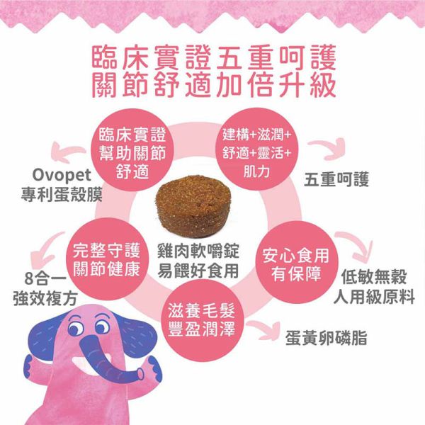 【IN-Plus】MSM蛋殼膜關節保健 狗關節保養 體力舒緩補充劑【30顆/60顆】IN PLUS 犬用營養品 狗狗關節保健, 狗關節舒緩, MSM蛋殼膜, 狗狗關節營養品, 狗狗走路僵硬, 狗狗保健食品, IN PLUS 狗保健, 狗狗骨骼保養, 狗狗關節軟骨保養, 狗狗活動力