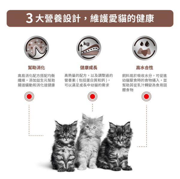 皇家 GIK35 幼貓腸胃道處方乾糧 400g／2kg｜Gastrointestinal Kitten 1–12個月 幼貓專用 Royal Canin GIK35

Gastrointestinal Kitten

幼貓腸胃道處方

幼貓腸胃乾糧

小貓腹瀉 飼料

幼貓消化不良 飼料

皇家幼貓處方飼料

幼貓腸胃敏感 飲食

貓腸胃道處方乾糧