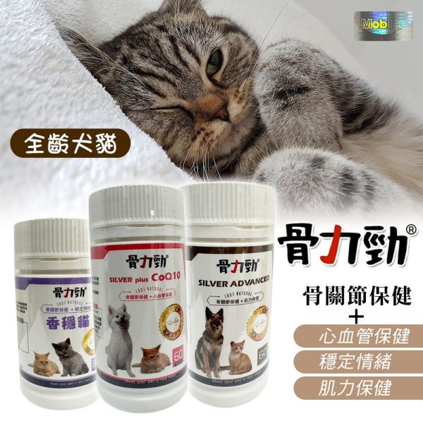 【骨力勁】 ADV Q10｜犬貓關節保健 Q10輔酶軟骨素配方 改善關節靈活 心血管保健 維持肌力與穩定情緒 30錠/60錠 骨力勁,ADV Q10,犬貓關節保健,狗關節保健,貓關節軟骨素,Q10輔酶,葡萄糖胺,軟骨素,心血管保健,肌力維持,老年犬貓,獸醫推薦,關節營養