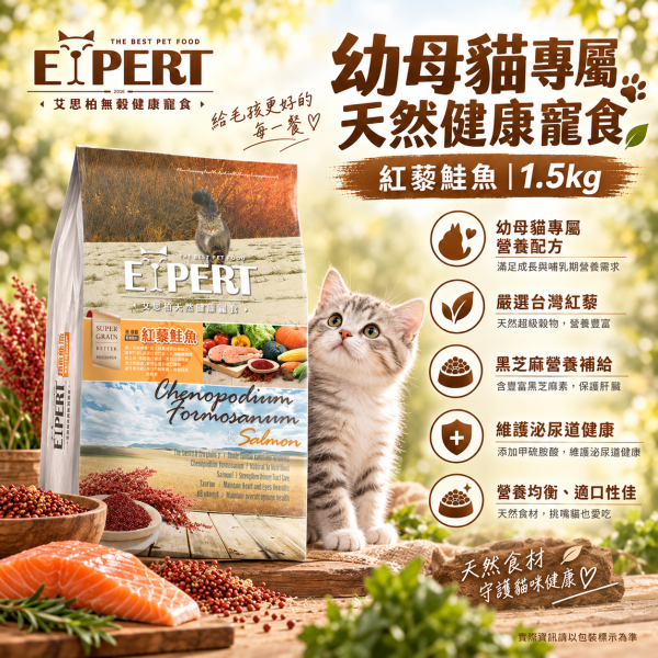 艾思柏 EXPERT 貓飼料 1.5KG艾思柏 貓無穀飼料 化毛 腸胃 熟齡貓 泌尿 紅藜寵食 幼母貓鮭魚 成貓鮪魚 艾思柏貓飼料

無穀貓飼料推薦

室內低卡貓飼料

熟齡貓飼料 Q10

高蛋白貓飼料 鮪魚

幼貓母貓飼料 鮭魚

泌尿道保健貓飼料

腸胃保健貓飼料

化毛貓飼料推薦

紅藜貓飼料