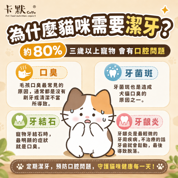【CaMo 卡默】貓用軟Q潔牙棒160g｜Q彈乳鈣／牛肉莓果／蜜果酵素／森活益菌｜貓潔牙零食 貓潔牙棒, 卡默貓潔牙棒, Camo貓潔牙棒, 貓口腔保健, 貓牙結石, 貓牙垢, 貓口臭, 貓咪零食, 貓咪牙齒清潔, Q彈潔牙棒, 台灣製貓潔牙棒, 蜜果酵素, 牛肉莓果潔牙棒, GOIS生活館