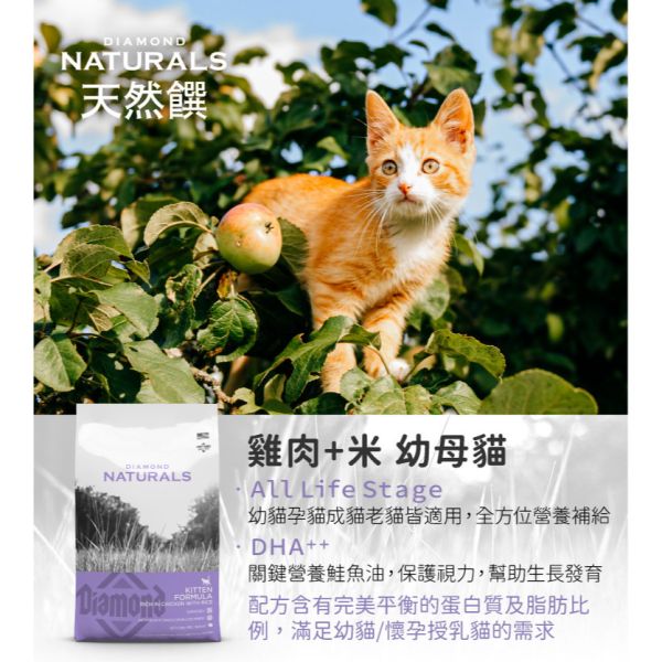 天然饌 Diamond Naturals 貓飼料 1KG 雞肉米 成貓 挑嘴貓 幼母貓 無穀化毛配方 貓飼料, Diamond Naturals, 雞肉米貓飼料, 成貓飼料, 幼母貓飼料, 挑嘴貓飼料, 化毛貓飼料, 無穀貓糧, 天然貓飼料, 高蛋白低敏貓飼料