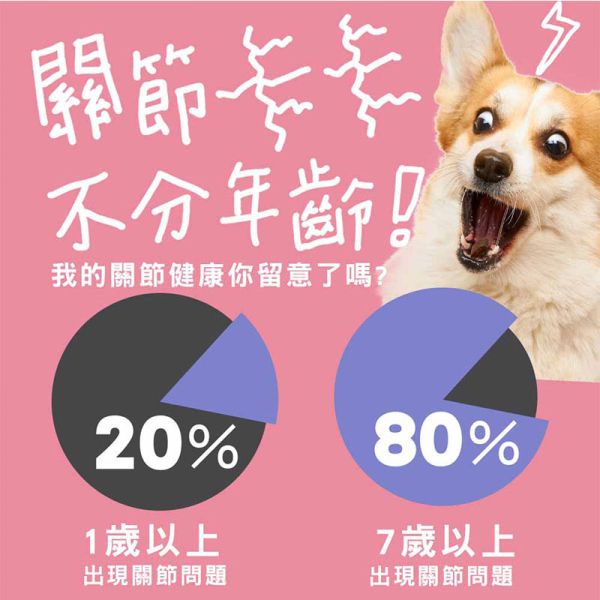 【IN-Plus】MSM蛋殼膜關節保健 狗關節保養 體力舒緩補充劑【30顆/60顆】IN PLUS 犬用營養品 狗狗關節保健, 狗關節舒緩, MSM蛋殼膜, 狗狗關節營養品, 狗狗走路僵硬, 狗狗保健食品, IN PLUS 狗保健, 狗狗骨骼保養, 狗狗關節軟骨保養, 狗狗活動力