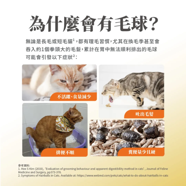 【毛掌醫學 】 貓咪天然植纖排毛粉 50g｜高纖助排毛 保護腸胃 貓用保健品 排毛粉

貓咪排毛粉

毛球保健粉

天然植纖保健品

貓咪腸胃保健

貓毛球排出

貓咪高纖補充

 毛掌醫學

貓咪保健食品

植纖排毛粉