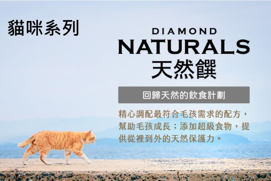 天然饌 Diamond Naturals 貓飼料 1KG 雞肉米 成貓 挑嘴貓 幼母貓 無穀化毛配方 貓飼料, Diamond Naturals, 雞肉米貓飼料, 成貓飼料, 幼母貓飼料, 挑嘴貓飼料, 化毛貓飼料, 無穀貓糧, 天然貓飼料, 高蛋白低敏貓飼料