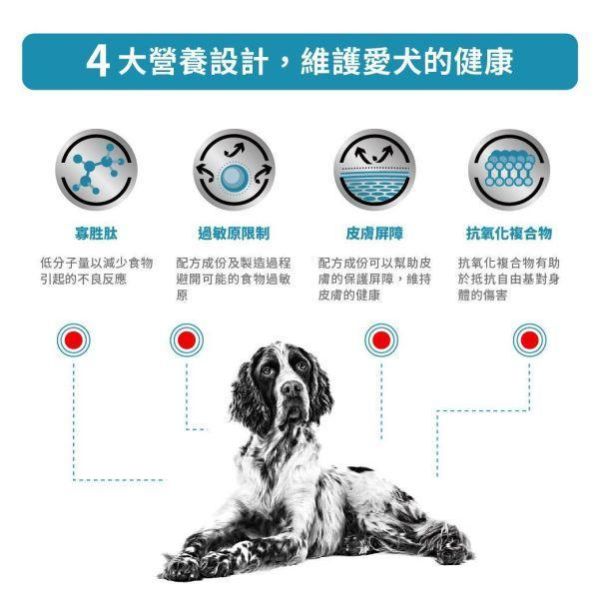 皇家  AN18 犬水解低敏處方乾糧｜Hypoallergenic 水解蛋白配方｜3KG 犬水解蛋白飼料、犬低過敏飼料、Royal Canin AN18、Hypoallergenic 犬糧、狗狗食物過敏、獸醫處方犬糧