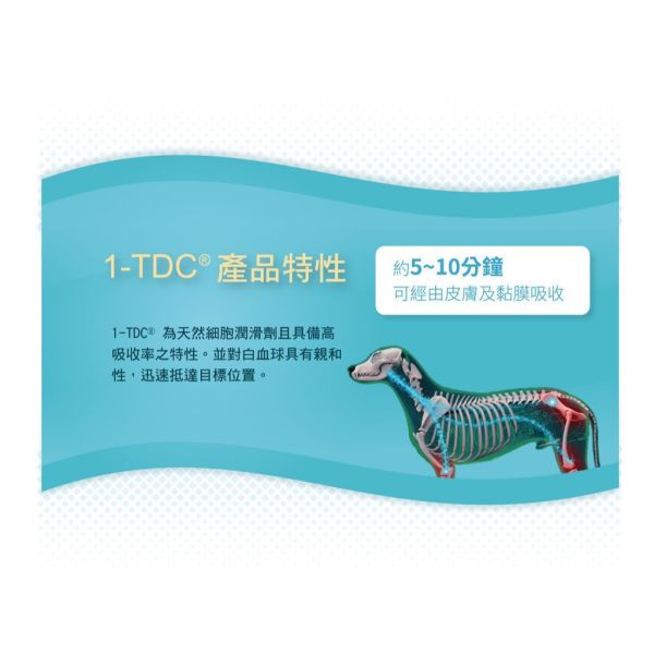 【賽恩威特】 一錠護 1-TDC｜犬貓關節保健 牙齦護理 皮膚修護 美毛營養品 關節靈活 抗發炎 提升行動力 賽恩威特,一錠護,1-TDC,關節保健,犬貓關節,牙齦保健,狗關節保養,貓牙齦炎,皮膚修護,抗發炎營養品,美毛保健,行動力提升