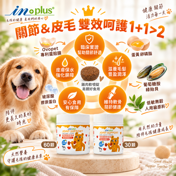 【IN-Plus】蛋殼膜關節保健 30顆/60顆 雙效呵護配方 犬貓適用 蛋殼膜關節保健

狗狗關節保健品

貓咪關節保養

犬貓MSM保健品

葡萄糖胺 軟骨素 狗

關節靈活 犬貓

狗狗關節保健推薦

貓咪關節保健推薦