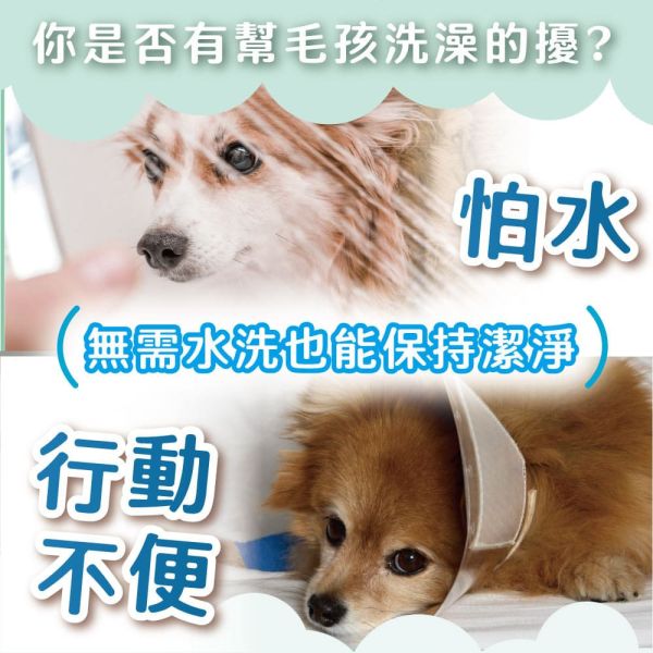 【臭味滾 】 犬/貓 無香除臭乾洗粉 100g｜寵物乾洗粉 狗狗貓咪低敏乾洗 無香精 臭味滾乾洗粉、狗狗乾洗粉、貓咪乾洗粉、寵物乾洗粉推薦、低敏乾洗粉、無香乾洗粉、除臭乾洗粉、寵物除臭乾洗、狗貓乾洗用品、臭味滾NEW系列