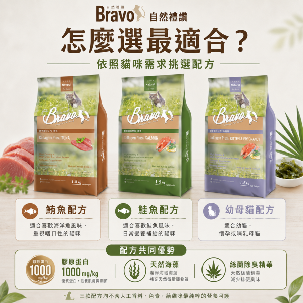 【Bravo 自然禮讚】膠原蛋白貓飼料1.5KG｜幼母貓／鮭魚／鮪魚｜貓糧 貓乾糧 Bravo自然禮讚貓飼料1.5KG、Bravo膠原蛋白貓糧、自然禮讚鮭魚貓飼料、自然禮讚鮪魚貓飼料、幼母貓飼料1.5kg、貓飼料小包裝推薦