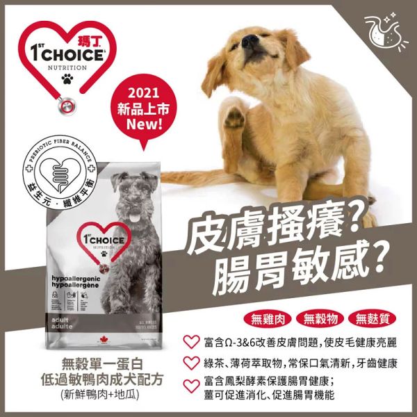 瑪丁犬飼料 11 KG 無穀單一蛋白低過敏鴨肉配方 中顆粒 全犬種 瑪丁 無穀鴨肉 11kg

低敏狗飼料 鴨肉配方

狗飼料 無穀 單一蛋白

敏感狗飼料 推薦

全犬種 成犬低敏飼料

皮膚搔癢 狗飼料

腸胃敏感 狗糧