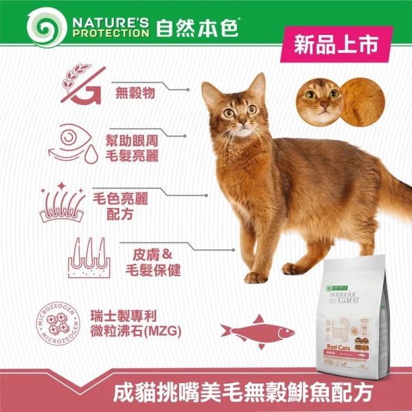 自然本色 貓飼料1.5kg 成貓亮白無穀鯡魚 挑嘴美毛無穀鲱魚 配方 成貓無穀飼料

成貓挑嘴飼料

成貓美毛飼料

成貓護毛飼料

成貓低敏飼料

成貓魚口味飼料

成貓腸胃保健飼料

成貓 Omega 飼料

自然本色成貓飼料

成貓主食推薦