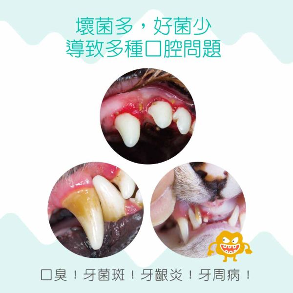 【IN-Plus】 潔牙凍乾 犬貓專用  23g/55g｜狗潔牙零食 綠茶配方・貓潔牙凍乾三角藍 IN PLUS 潔牙凍乾

狗狗潔牙零食

貓咪潔牙零食

狗狗口臭改善

貓咪牙齒清潔

犬貓口腔保健

狗狗潔牙推薦

貓咪潔牙推薦

寵物潔牙零食

狗狗牙結石預防

貓咪口腔保健食品