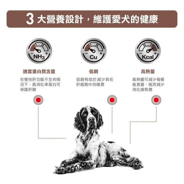 皇家 GI25C 犬腸胃道處方罐頭 200g / 400g｜腸胃敏感 犬用腸胃配方濕食｜獸醫處方 C

Royal Canin GI

犬腸胃道處方

狗腸胃罐頭

犬用腸胃處方罐頭

狗狗腸胃不好 吃什麼

狗腹瀉 罐頭

腸胃敏感 狗罐頭

狗狗消化不良 濕食