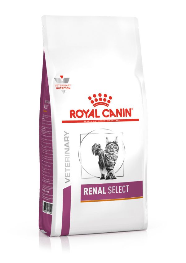 皇家【貓】腎臟病精選配方  RSE24貓腎臟病精選-400g  / 2kg 皇家腎臟病貓飼料

皇家RSE24

慢性腎病貓飼料推薦

腎病貓吃什麼

貓腎臟處方飼料推薦

皇家低磷貓飼料

ROYAL CANIN renal select

貓咪腎臟病吃什麼

處方飼料 腎臟病

腎病貓飲食控制