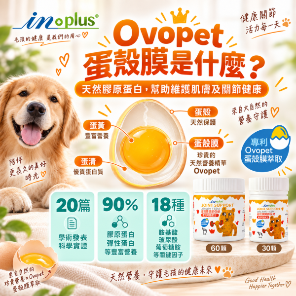 【IN-Plus】蛋殼膜關節保健 30顆/60顆 雙效呵護配方 犬貓適用 蛋殼膜關節保健

狗狗關節保健品

貓咪關節保養

犬貓MSM保健品

葡萄糖胺 軟骨素 狗

關節靈活 犬貓

狗狗關節保健推薦

貓咪關節保健推薦