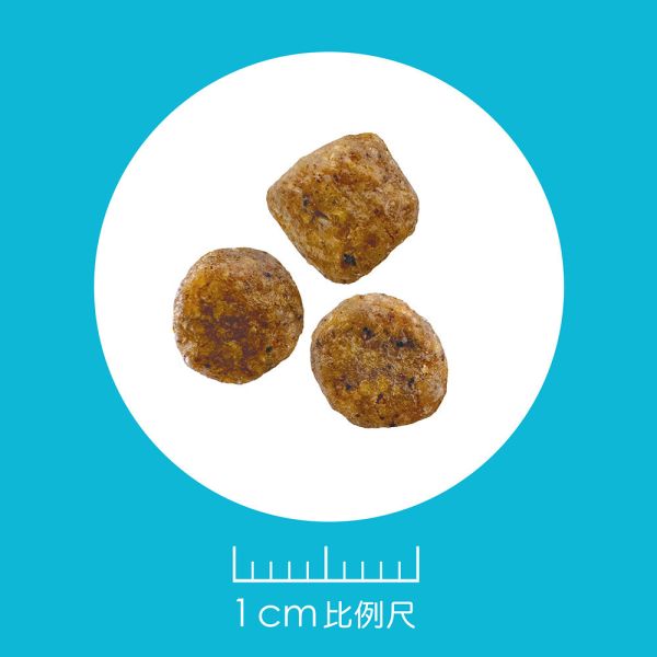 【耐吉斯】犬飼料 E系列-無穀成犬 能量鮭魚  極品鹿肉 銀髮羊肉 好蛋白火雞 活力羊肉  10 磅 耐吉斯狗飼料, Holistic Recipe, 無穀犬糧, 成犬飼料, 幼犬飼料, 全齡犬飼料, 高齡犬飼料, 羊肉狗飼料, 鮭魚狗飼料, 鹿肉狗飼料, 火雞狗飼料, 高蛋白狗飼料, 關節保健狗飼料, 大顆粒狗飼料, 小顆粒狗飼料, 狗飼料推薦, 10磅狗飼料, 大包裝狗飼料, 狗益生菌飼料, 無穀狗糧推薦