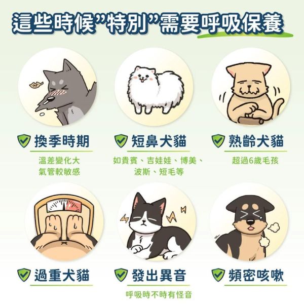 汪喵星球-呼吸道保健粉【2g*30包】 汪喵星球,呼吸道保健,犬貓保健粉,寵物呼吸保養,貓狗保健品,呼吸道營養