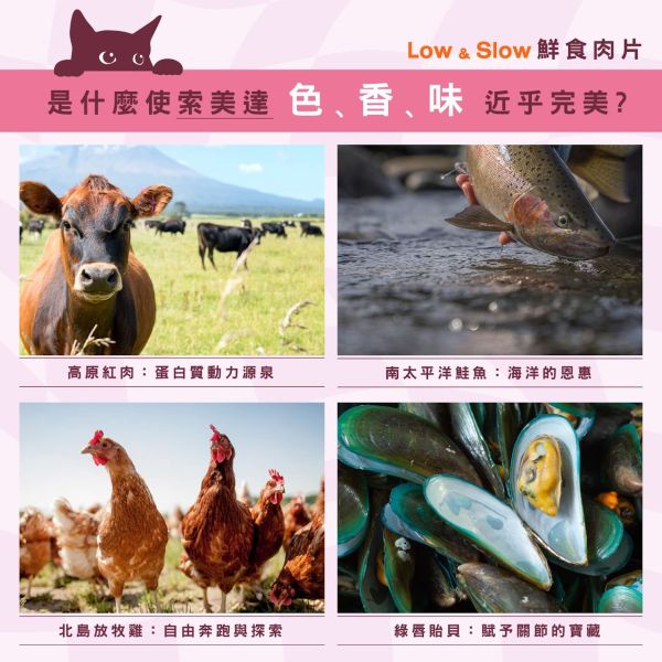 【索美達 Soulmate 】貓鮮食肉片餐 30g｜深海魚/草飼牛肉/雞肉｜紐西蘭低溫烘焙 無添加主食凍乾 貓咪鮮食糧 貓鮮食

貓凍乾主食

索美達 Soulmate 貓糧

貓咪主食罐替代

貓鮮食肉片 深海魚

草飼牛肉貓糧

雞肉貓糧推薦

無穀低敏貓糧

紐西蘭貓糧品牌

貓咪健康飲食