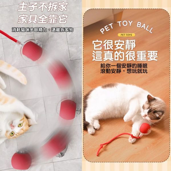 智能逗貓球 自動滾動貓玩具｜會滾動的逗貓球 貓草球 可充電互動球 智能引誘滾動球 寵物解悶訓練球 逗貓球,智能逗貓球,自動滾動貓球,會滾動的逗貓球,自動貓玩具,貓草球,滾動貓球,互動貓玩具,電動貓玩具,智能貓玩具,貓咪玩具,貓咪互動球,貓咪自動玩具,滾動球玩具,貓球玩具,可充電逗貓球