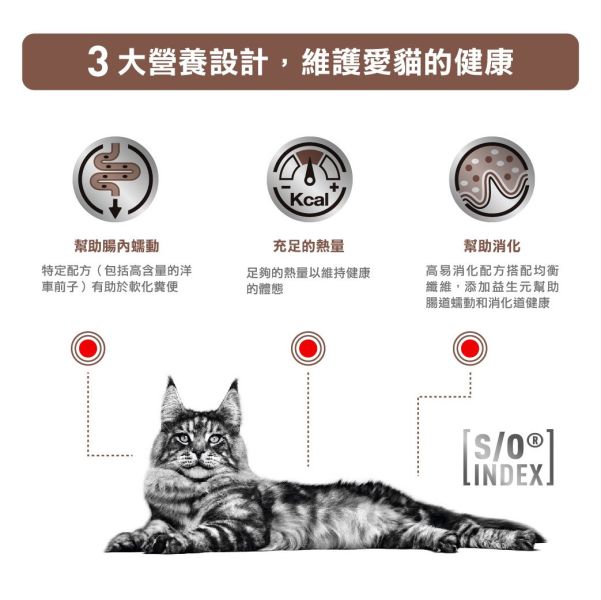 皇家【貓】腸胃高纖濕糧85g  FR31W-貓腸胃高纖濕糧85g 貓咪便秘吃什麼罐頭

皇家高纖貓罐

Royal Canin Fibre Response

貓便祕濕食推薦

貓咪腸胃道主食罐

貓軟便濕糧推薦

貓咪消化道問題飼料

皇家腸胃道配方罐頭

貓腸胃敏感吃什麼

腸炎貓濕糧推薦