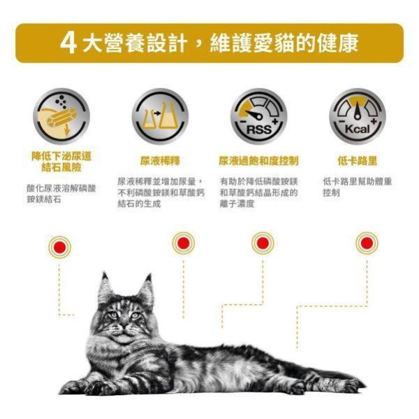 皇家  UMC34 貓泌尿道低卡路里處方乾糧｜Urinary S/O Moderate Calorie 結石管理配方｜1.5KG 貓泌尿道低卡飼料

貓結石低熱量飼料

Royal Canin UMC34

貓 Urinary S/O 低卡

貓尿結石 體重控制

貓下泌尿道處方飼料

貓肥胖 泌尿道管理