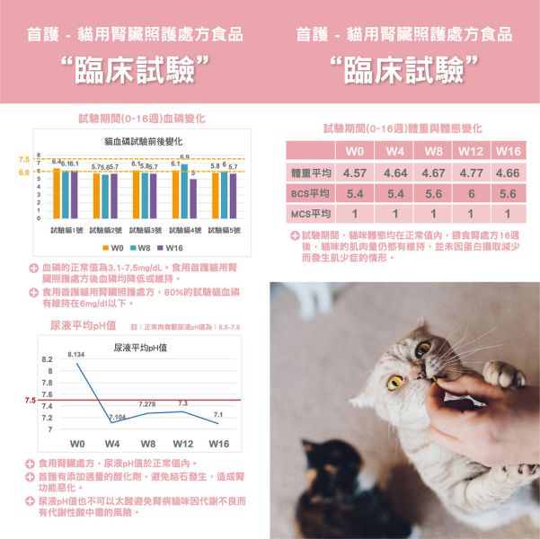 首護 AdvOCare AK 貓用腎臟照護處方乾糧 1.5KG｜AK Kidney Cat 腎臟照護配方｜獸醫處方飼料 貓腎臟處方飼料、AK 貓腎臟照護飼料、AdvOCare AK 貓飼料、低磷貓飼料、貓腎臟病飼料、獸醫處方貓糧