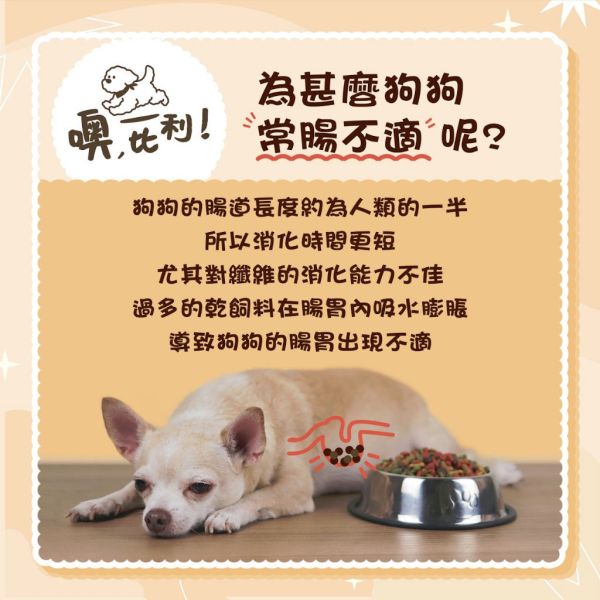【噢，比利O.Bill】頂級機能軟飼料 900g｜皮毛亮麗・關節配方｜高蛋白半濕犬糧｜全齡犬適用 機能保健主食推薦 噢比利狗飼料、O.Bill軟飼料、噢比利機能軟飼料、犬用軟飼料推薦、機能犬糧、狗主食飼料、皮毛亮麗狗飼料、關節保健狗飼料、狗軟糧、半濕型犬糧、狗狗關節保健飼料、狗毛髮亮澤飼料