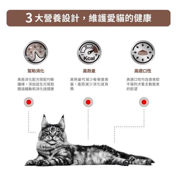 皇家【貓】腸胃道處方  GI32貓腸胃-2kg 貓咪消化不良吃什麼
貓腸胃炎飼料推薦
貓IBD處方飼料
貓腸胃道處方飼料
ROYAL CANIN腸胃處方
GI32貓飼料哪裡買
小腸細菌過度生長貓
貓咪便便軟便怎麼辦
腸胃不適貓飼料
貓咪術後營養飼料推薦
