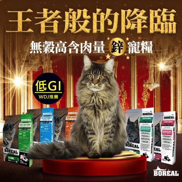 【波瑞歐 BOREAL】 無穀犬糧 5磅｜全齡犬飼料 鴨肉・火雞・羔羊・帝王鮭 /小顆粒 波瑞歐 BOREAL 犬糧

無穀狗飼料

狗狗無穀飼料推薦

全齡犬飼料

狗狗小顆粒飼料

狗狗火雞飼料

狗狗羊肉飼料

狗狗鮭魚飼料

低敏犬糧

加拿大狗飼料品牌