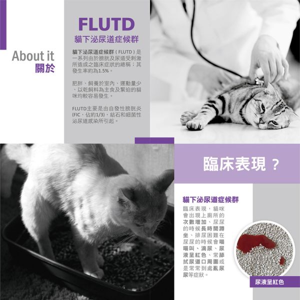 首護 AdvOCare AU 貓用磷酸銨鎂結石照護處方乾糧 1.5KG｜Urinary Care Struvite｜獸醫處方貓飼料 貓磷酸銨鎂結石飼料、貓鳥糞石處方飼料、AdvOCare AU 貓飼料、貓泌尿道處方飼料、Urinary Care 貓糧、獸醫處方貓糧