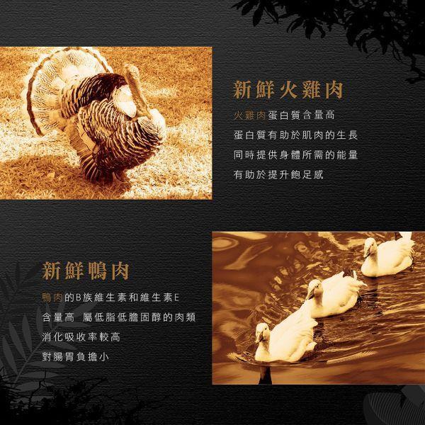 【安柏希雅 Ambrosia】無穀鮮肉犬糧 100g｜鮭魚雞肉／雞肉鮮魚／火雞兔肉／火雞鴨肉｜高動物性蛋白・小顆粒 安柏希雅犬糧, Ambrosia 狗飼料, 無穀犬糧推薦, 鮮肉犬糧, 幼犬飼料, 小型犬飼料, 全齡犬飼料, 高蛋白狗糧, 低敏犬糧, 狗飼料100g, 試吃包犬糧