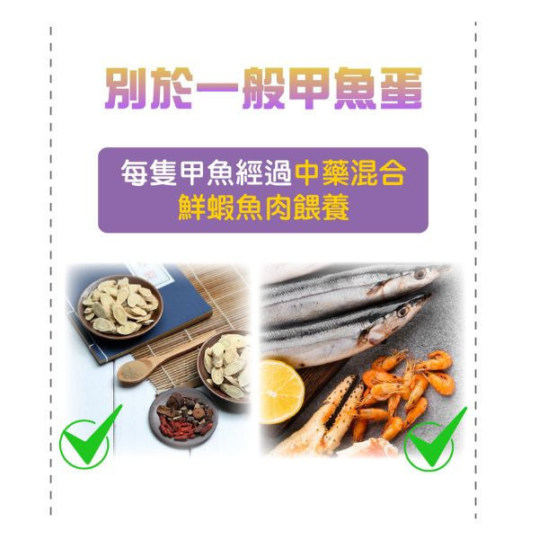 【Life+ 虎揚 】 生命膠囊 犬貓保健營養品 60粒｜亮毛護膚 促進代謝 提升免疫力 補充營養蛋白 維持健康活力 Life+生命膠囊,犬貓營養品,亮毛護膚,毛髮保健,免疫提升,魚肝油營養,皮膚保健,犬用膠囊,貓用膠囊,寵物營養補充品,毛孩健康,營養補給