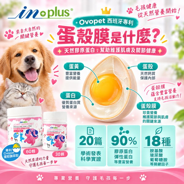 【IN-Plus】MSM蛋殼膜關節保健 狗關節保養 體力舒緩補充劑【30顆/60顆】IN PLUS 犬用營養品 狗狗關節保健, 狗關節舒緩, MSM蛋殼膜, 狗狗關節營養品, 狗狗走路僵硬, 狗狗保健食品, IN PLUS 狗保健, 狗狗骨骼保養, 狗狗關節軟骨保養, 狗狗活動力
