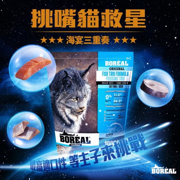 【波瑞歐 BOREAL】 無穀犬糧 12磅｜室內貓化毛調理・高齡貓關節護理・海陸野饌・海宴三重奏・鮮雞肉 全齡貓 波瑞歐 BOREAL 貓飼料

無穀貓飼料 12磅

大包裝貓飼料推薦

室內貓化毛飼料

高齡貓飼料 關節保健

全齡貓無穀飼料

低敏貓飼料推薦

加拿大無穀貓糧

貓咪大包裝飼料

貓咪鮮雞肉飼料

貓咪魚肉飼料