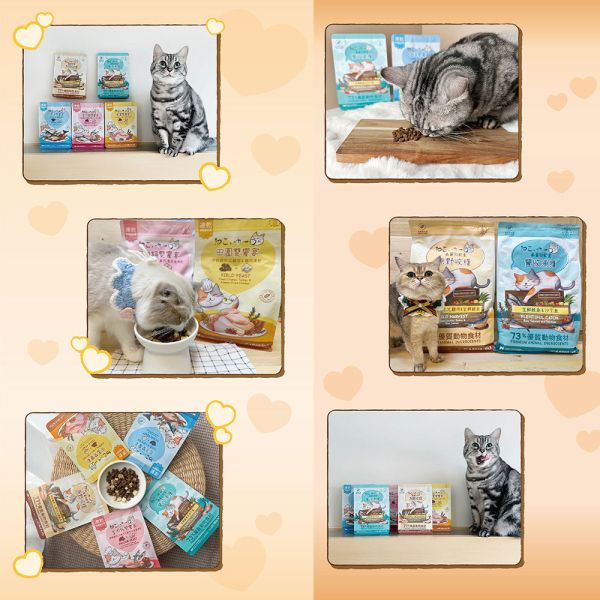 【吶一口 Neko 】 凍乾無穀鮮肉糧 4kg｜海洋雙饗宴｜田園雙饗宴｜室內貓配方｜高蛋白無穀主食貓糧 吶一口, 吶一口貓糧, 無穀貓糧, 凍乾貓糧, 高蛋白貓糧, 貓主食, 海洋雙饗宴, 田園雙饗宴, 室內貓配方, 全齡貓飼料, 亮毛貓糧, 健康腸胃貓糧, 貓飼料推薦
