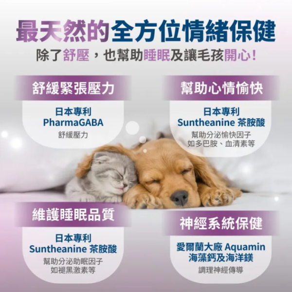 【毛掌醫學】狗貓保健肉泥 6g【舒壓｜固免疫｜純魚油】寵物保健補充｜ 犬貓保健營養品 狗貓保健肉泥, 寵物保健品, 貓咪魚油補充, 狗狗免疫力提升, 貓咪舒壓營養泥, 犬貓保健食品推薦, PawsMed毛掌醫學, 狗貓日常營養補充, 魚油保健肉泥, 貓狗營養泥