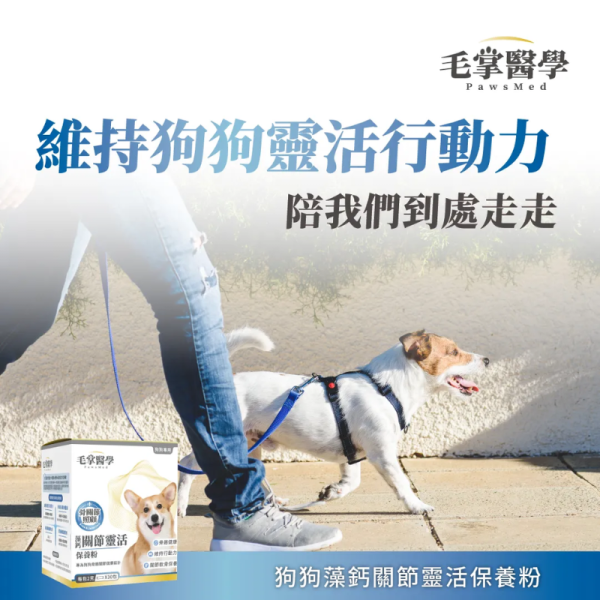 【毛掌醫學 】 藻鈣關節靈活配方 2g*30包｜貓狗專用 關節保健 骨骼強健 葡萄糖胺 軟骨素 毛掌醫學 藻鈣關節靈活

PawsMed 關節保健

狗狗關節保健品

貓咪骨骼保健

犬貓葡萄糖胺

犬貓軟骨素

寵物骨骼關節保健

狗狗走路跛腳保健

貓狗關節靈活配方

寵物骨質健康補充