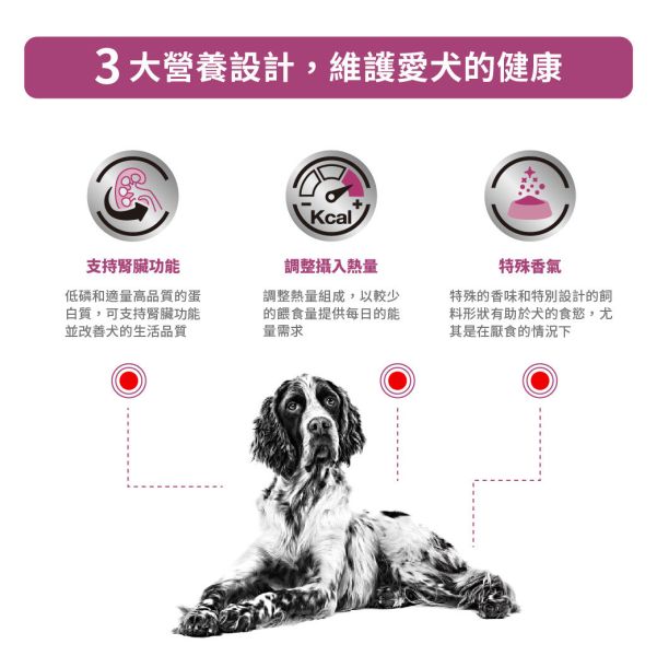 皇家【犬】腎臟配方乾糧 RF14犬腎臟處方2kg / 7kg 腎臟病狗飼料、狗腎衰竭飼料、Royal Canin 腎臟配方、低磷狗飼料、RF14 狗飼料、慢性腎衰竭狗糧