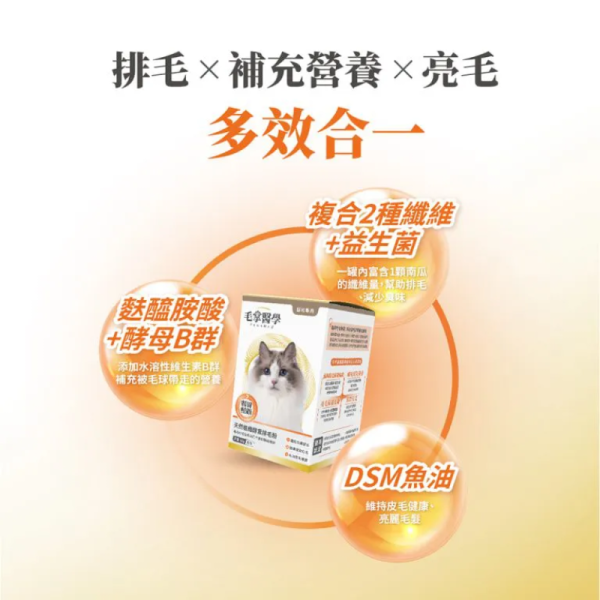 【毛掌醫學 】 貓咪天然植纖排毛粉 50g｜高纖助排毛 保護腸胃 貓用保健品 排毛粉

貓咪排毛粉

毛球保健粉

天然植纖保健品

貓咪腸胃保健

貓毛球排出

貓咪高纖補充

 毛掌醫學

貓咪保健食品

植纖排毛粉