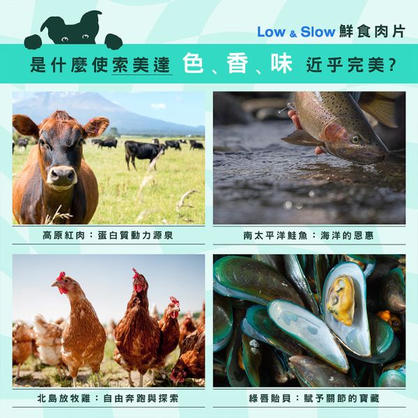 【索美達 Soulmate 】犬鮮食肉片餐 30g｜雞肉/草飼牛肉/深海魚｜全齡犬主食補充 狗鮮食 狗零食 狗鮮食餐、索美達 Soulmate、犬鮮食肉片、狗狗主食餐包、天然狗糧推薦、狗零食推薦、雞肉狗糧、牛肉狗糧、深海魚狗糧、狗狗高蛋白零食、低溫烘焙狗糧、全齡犬鮮食、AAFCO狗糧、寵物營養餐