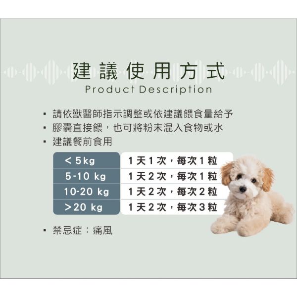 【賽恩威特】 腸利康 GutCare 40粒｜犬貓腸胃保健益生菌 補充好菌 改善軟便 維持腸道健康 提升免疫力 賽恩威特,腸利康,GutCare,犬貓益生菌,腸胃保健,貓軟便,狗腹瀉,益生菌保健品,寵物腸胃補充,腸道好菌,腸胃益生菌