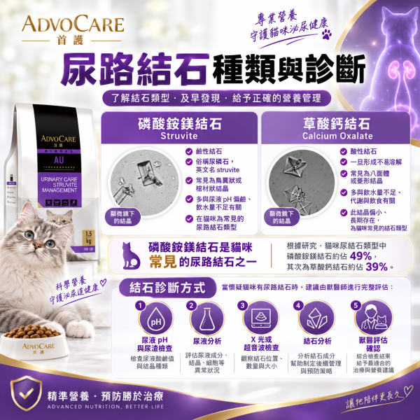 【首護 ADVOCARE】AU貓用磷酸銨鎂結石照護6KG｜貓泌尿道處方飼料｜Struvite尿結石配方 首護, ADVOCARE, AU, 首護AU, 貓泌尿道處方飼料, 貓處方飼料, 貓結石飼料, 貓尿結石, 磷酸銨鎂結石, 磷酸銨鎂結晶, Struvite, 貓泌尿道飼料, 低鎂貓飼料, 尿液pH, 泌尿道處方貓糧, 6KG貓飼料