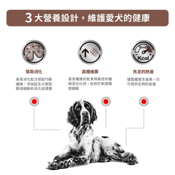 皇家【犬】腸胃道高纖配方乾糧  FR23犬腸胃道高纖處方2kg 狗狗便秘吃什麼飼料

狗狗排便困難解法

狗狗高纖飼料推薦

Royal Canin 犬用高纖糧

狗狗結腸炎怎麼辦

狗狗拉不出來推薦食物

狗便秘處方飼料

狗狗腸胃不順乾糧

狗狗腸道蠕動不好吃什麼