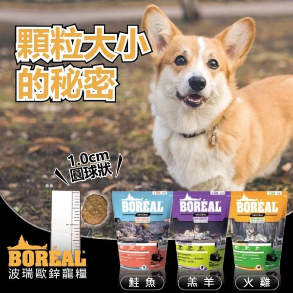 【波瑞歐 BOREAL】 無穀犬糧 25磅｜全齡犬 火雞・羔羊・帝王鮭｜低敏高蛋白 大包裝狗飼料推薦 波瑞歐 BOREAL 狗飼料

無穀犬糧 25磅

大包裝狗飼料推薦

火雞狗飼料

羊肉狗飼料

鮭魚狗飼料

全齡犬飼料推薦

低敏狗飼料

加拿大無穀犬糧

高蛋白狗飼料

大型犬飼料推薦